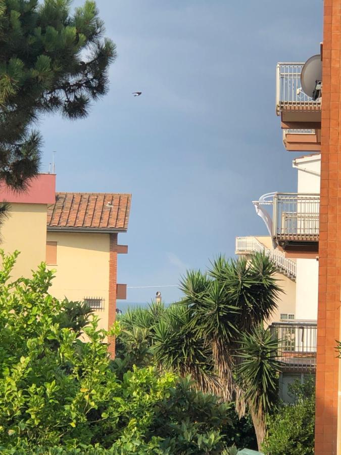 Apartamento Moonlight Next Palapellicone Tra Mare E Pineta Monolocale Lido di Ostia Exterior foto